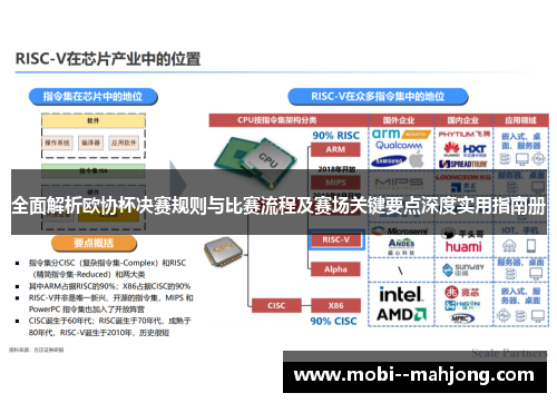 全面解析欧协杯决赛规则与比赛流程及赛场关键要点深度实用指南册