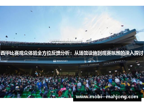 西甲比赛观众体验全方位反馈分析：从场馆设施到观赛氛围的深入探讨