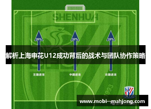 解析上海申花U12成功背后的战术与团队协作策略
