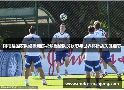 阿根廷国家队终极训练视频揭秘队员状态与世界杯备战关键细节