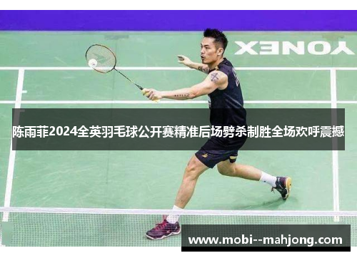 陈雨菲2024全英羽毛球公开赛精准后场劈杀制胜全场欢呼震撼 陈雨菲2024全英羽毛球公开赛精准后场劈杀制胜全场欢呼震撼