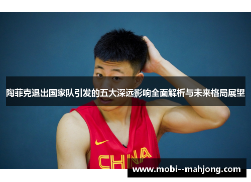 陶菲克退出国家队引发的五大深远影响全面解析与未来格局展望 陶菲克退出国家队引发的五大深远影响全面解析与未来格局展望