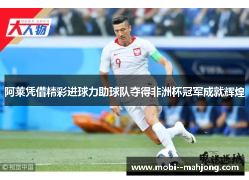 阿莱凭借精彩进球力助球队夺得非洲杯冠军成就辉煌