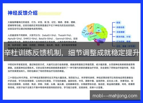 辛杜训练反馈机制，细节调整成就稳定提升